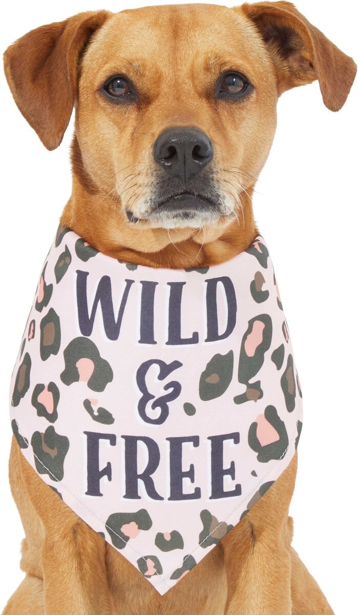 Frisco Pink Leopard Dog and Cat Bandana