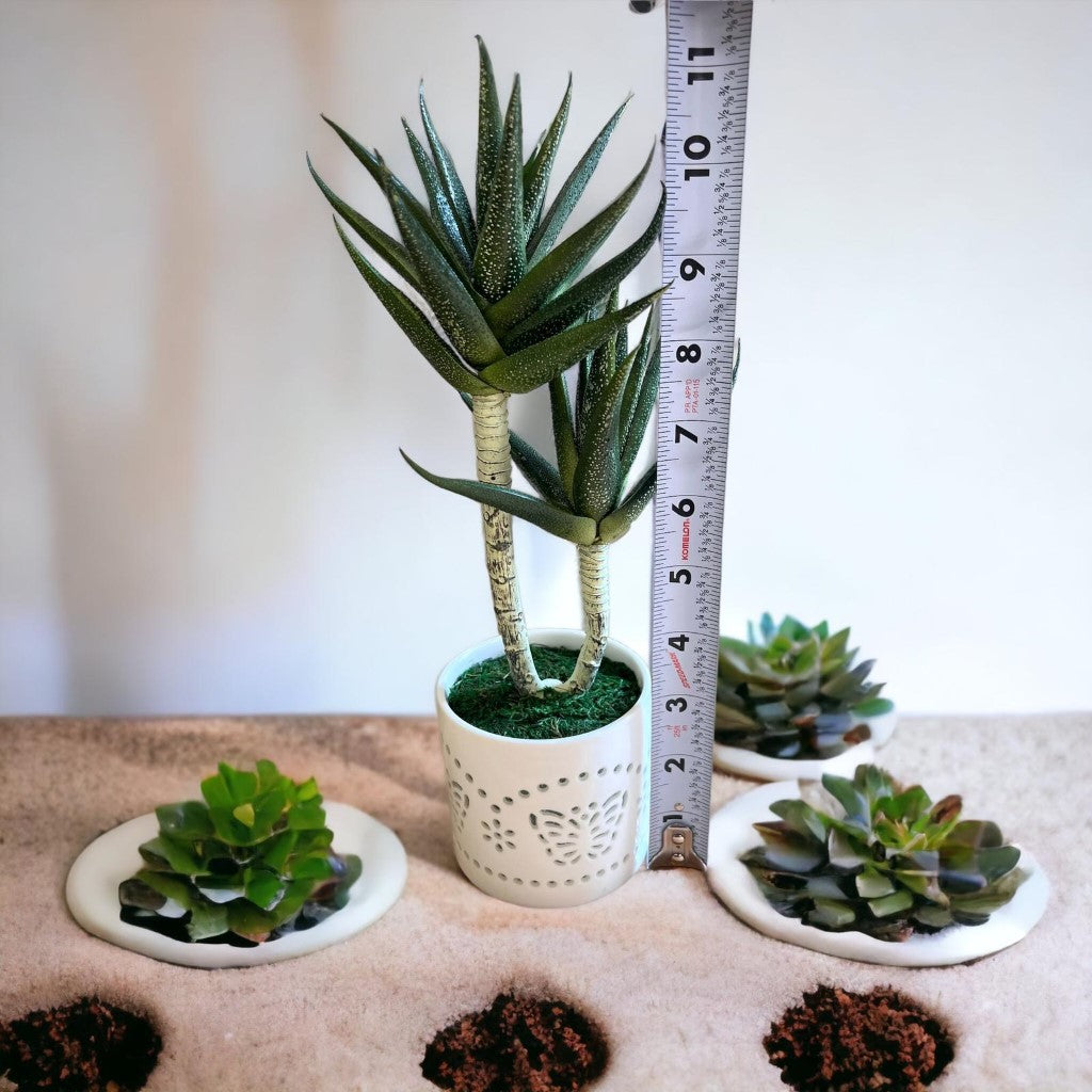 Stunning Artificial Succulent in Ceramic Pot