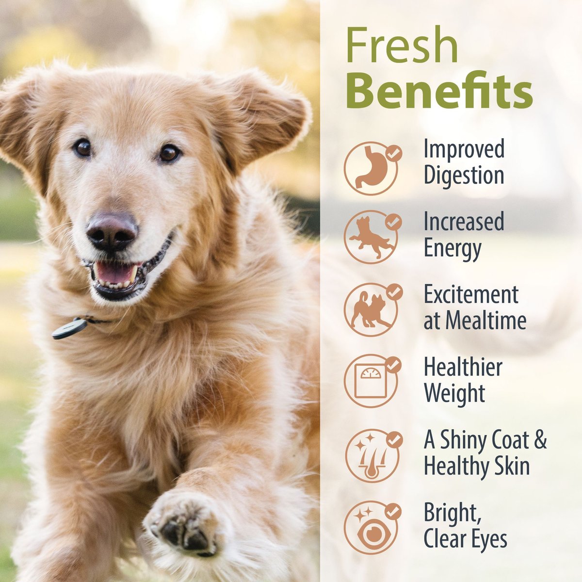 JustFoodForDogs DoItYourself Fish and Sweet Potato Recipe Fresh Dog Food Recipe and Nutrient Blend