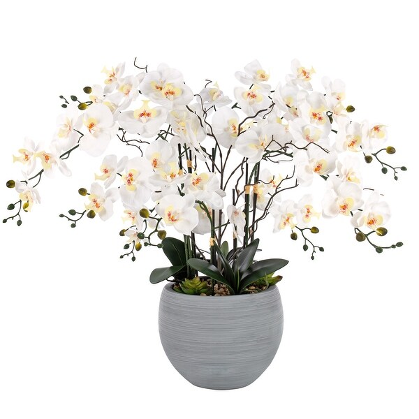 9 Stems Nearly Natural White Phalaenopsis Orchids with Succulents in White Magnesium Oxide Pot