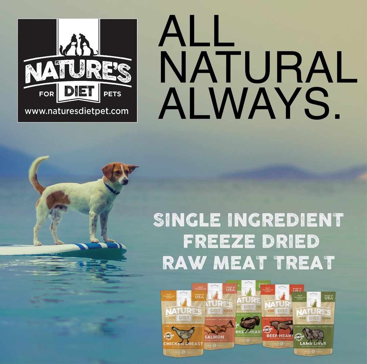 Nature's Diet Chicken Breast Raw Freeze-Dried Dog Treats， 3-oz pouch