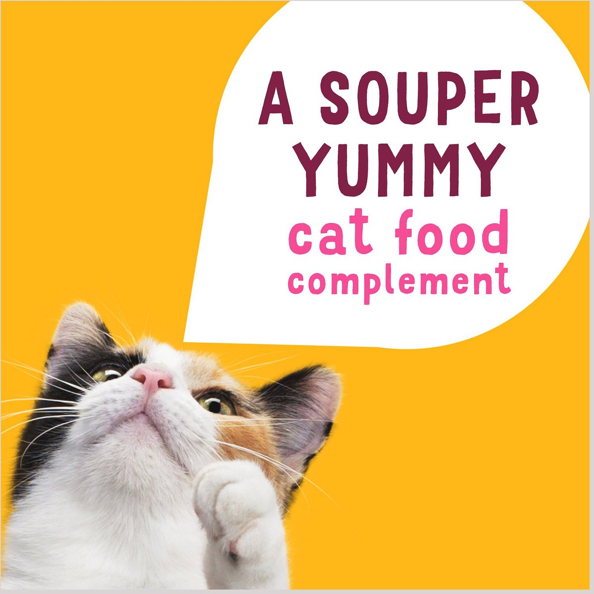 Friskies Lil' Soups with Sockeye Salmon in a Velvety Chicken Broth Cat Food Topper