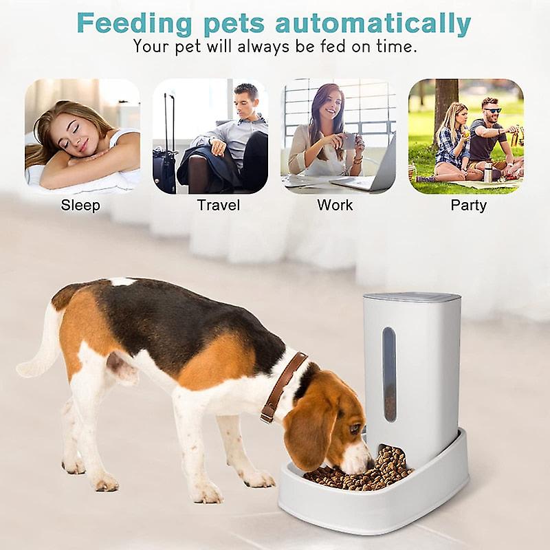 3.8L automatic dog food feeder