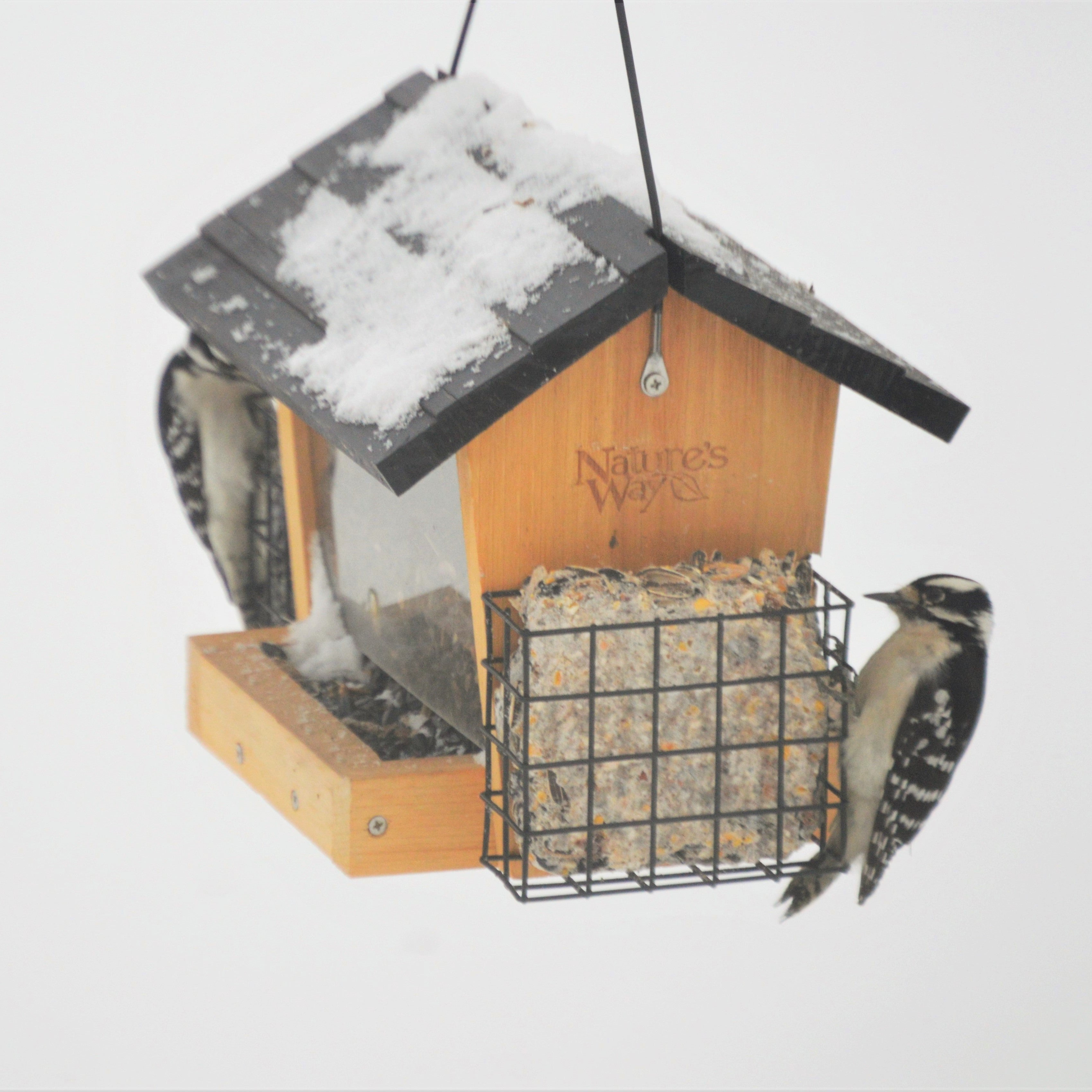 Nature's Way 3 Quart Capacity Natural Cedar Hopper Feeder with 2 Suet Cages