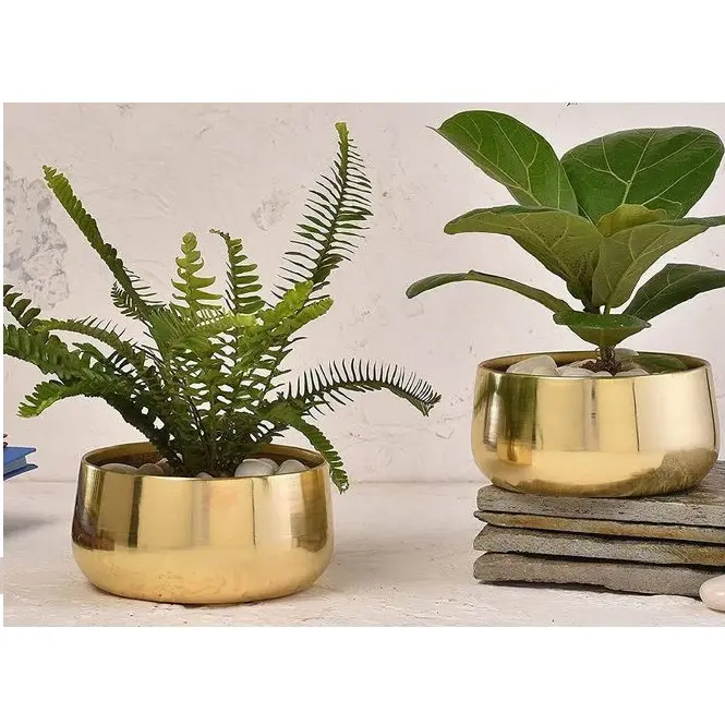 Best Design Metal Planters for Garden Home Decorative Plant Custom Shape Flower Pot Luxury Floor Planter