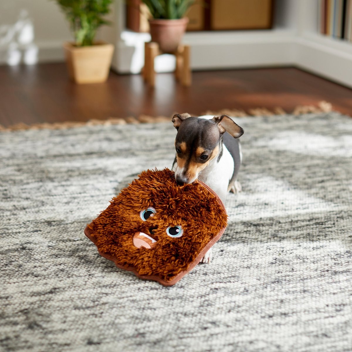 STAR WARS CHEWBACCA Flat Plush Squeaky Dog Toy