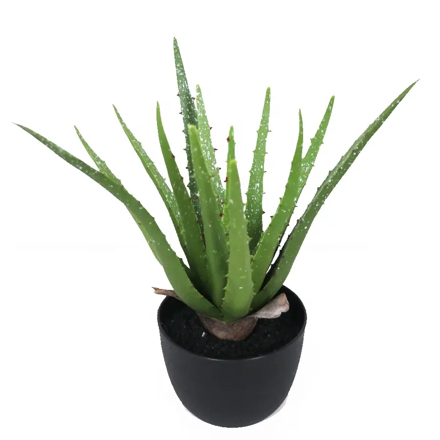 Supplies 50cm tall 17lvs real touch aloe plant