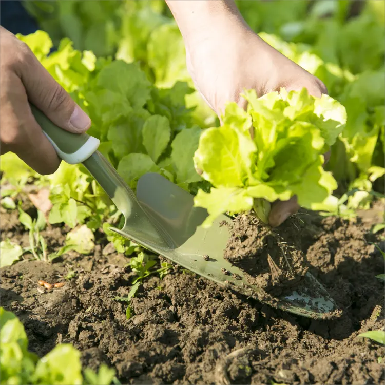 Classic Style 2 tone TPR/PP Handle Carbon Steel Head Trowel Gardening Tools with Powder Coating