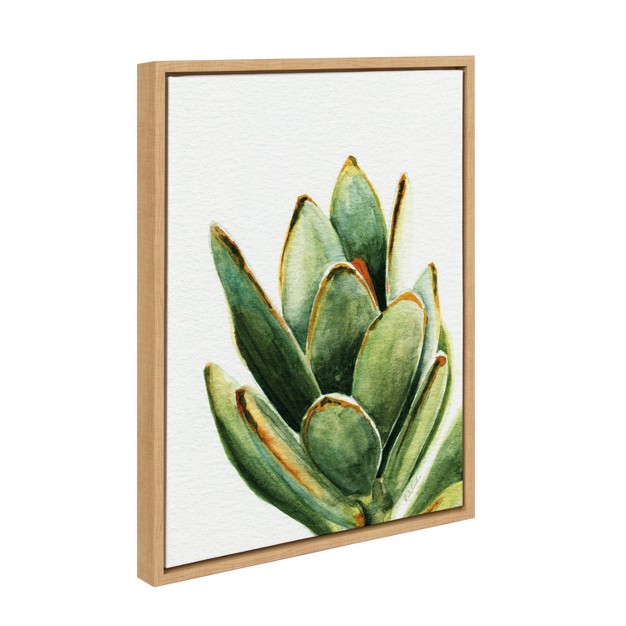 X 24 quot Sylvie Succulent 18 Framed Canvas By Jennifer Redstreake Geary Natural Kate amp Laurel All Things Decor