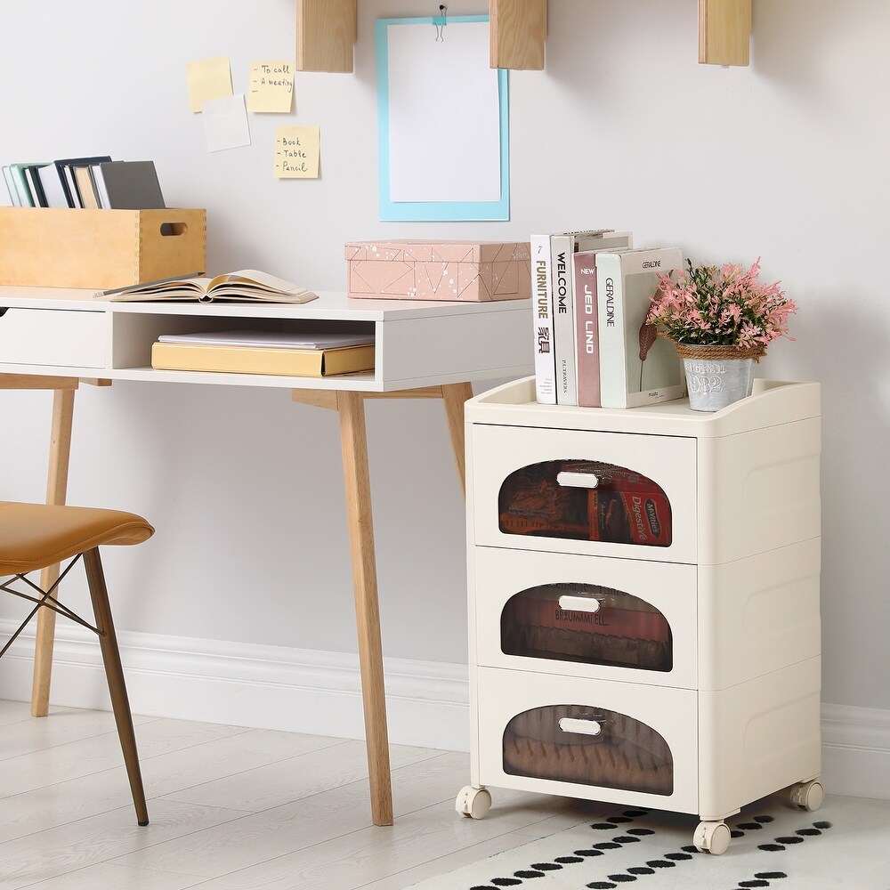 Large Drawer Organizer with Wheels