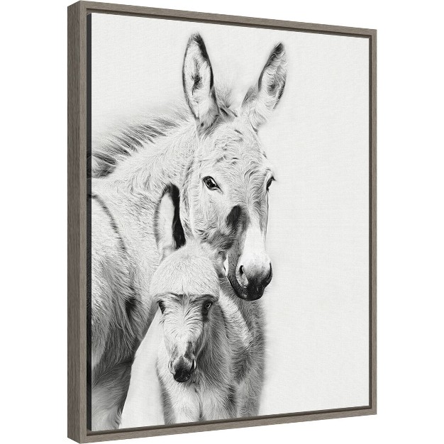 X 20 quot Donkey Portrait V By Ph Burchett Framed Canvas Wall Art Amanti Art