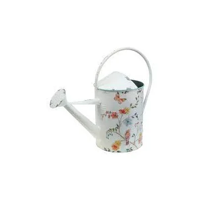 Butterfly printed White Watering Canes Iron Watering Can For Indoor Outdoor Garden Flower Garden Supplies Water Planting Supply