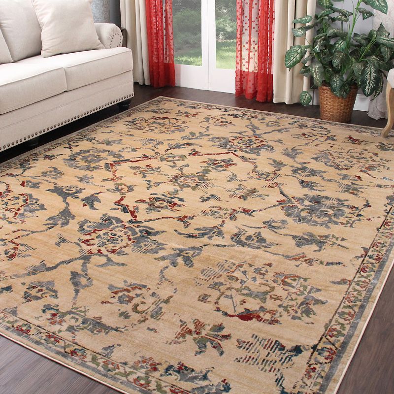 SUPERIOR Basilio Modern Farmhouse Medallion Indoor Area Rug