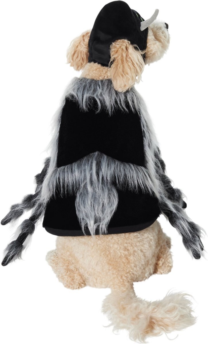 Frisco Spider Dog and Cat Costume