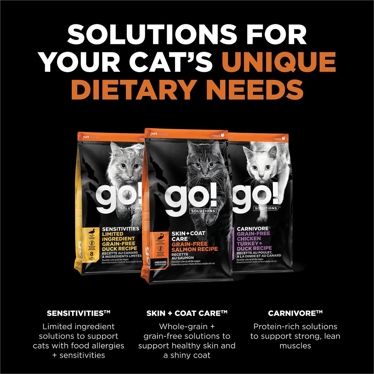 Go! Solutions Skin + Coat Care Grain-Free Salmon Recipe Dry Cat Food