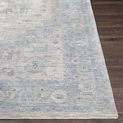 Avant Garde Traditional Light Gray Rug