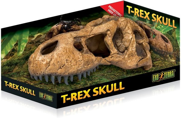 Exo Terra T-Rex Skull Reptile Terrarium Décor