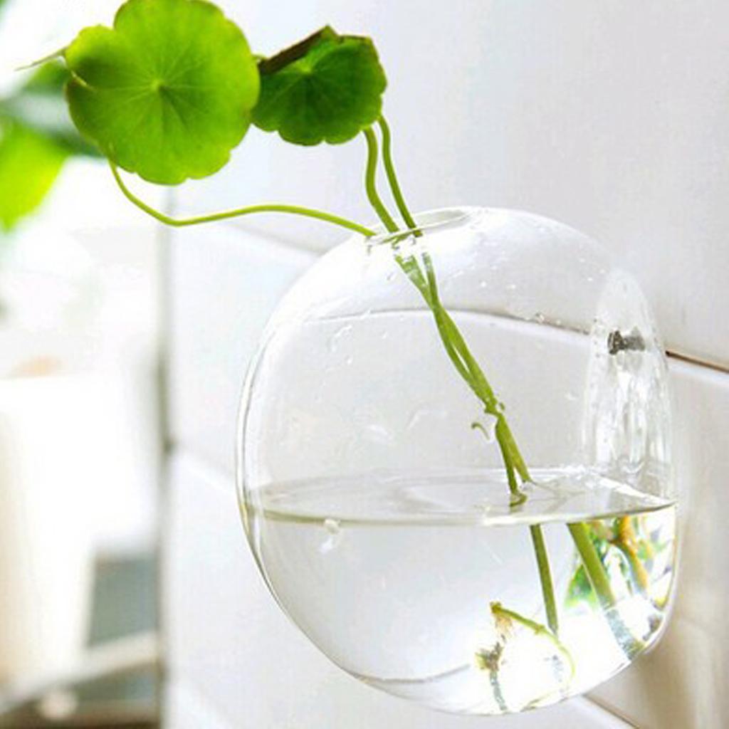 6 Hanging Glass Planters Air Plant Pots Flower Vase Indoor Decor 10cm