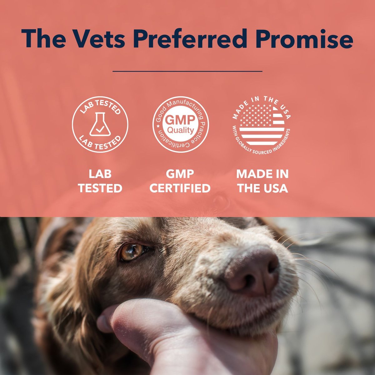 Vets Preferred Advanced Eye Wash for Dogs， 4-oz bottle