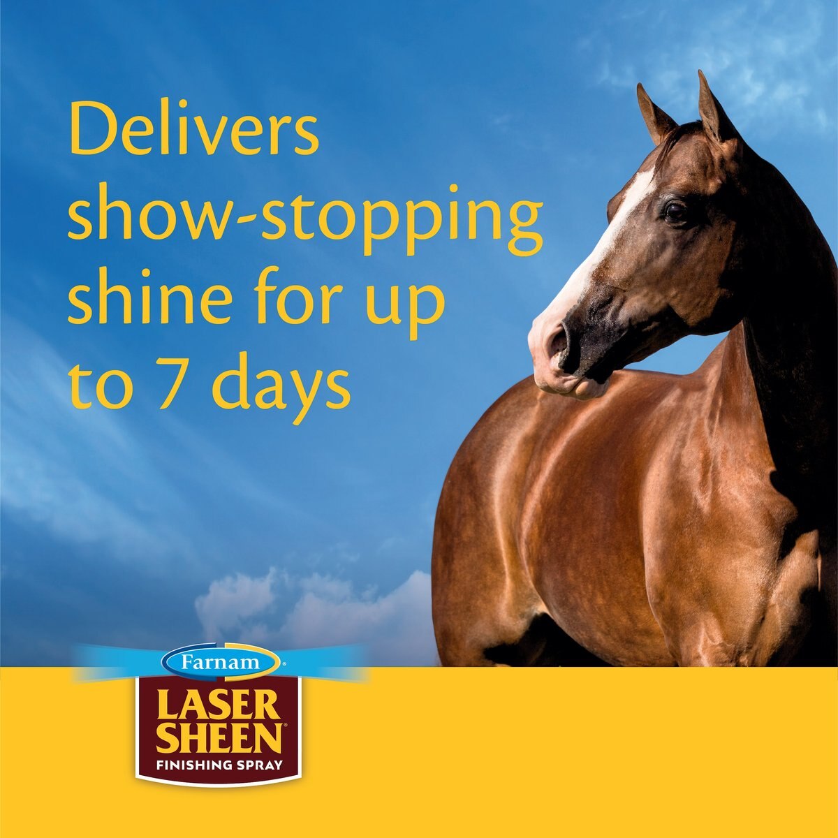 Farnam Laser Sheen Concentrate Horse Shine and Detangler