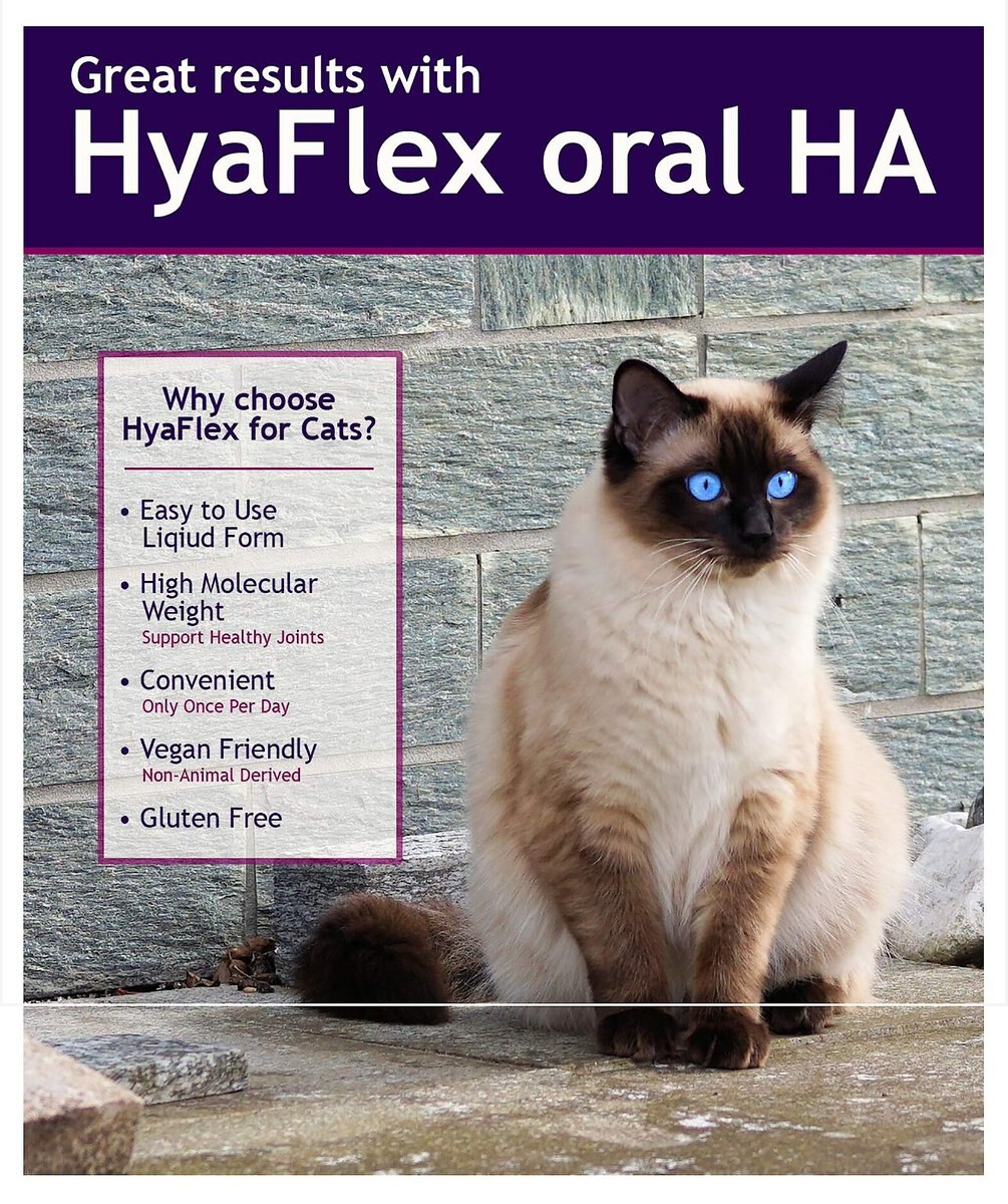 HyaFlex Hyalogic Hyaluronic Acid Hip and Joint Formula Cat Supplement， 1-oz bottle