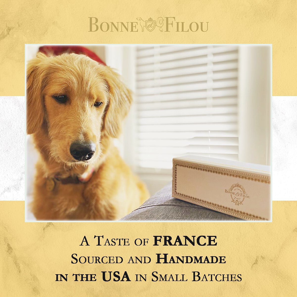 Bonne et Filou Strawberry All-Natural Handmade Macaron Dog Treats， 6 count