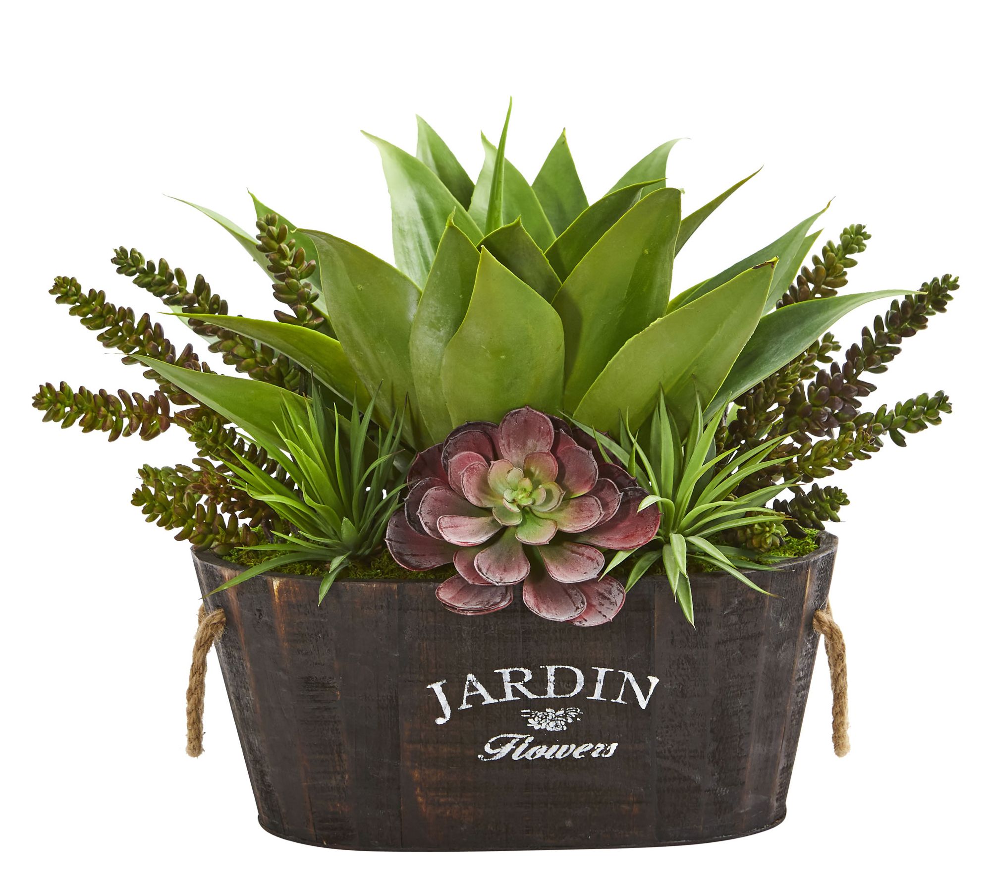 Succulent Garden in Wood Planter by Nearly Natural