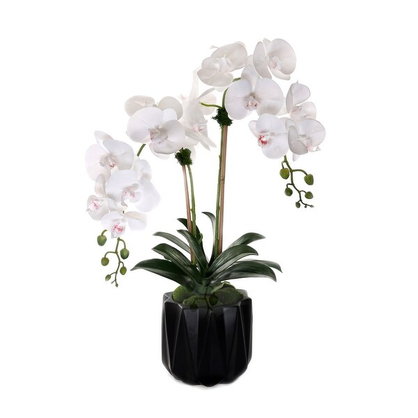 Real Touch Phalaenopsis Orchids in Black Dimensional Pot