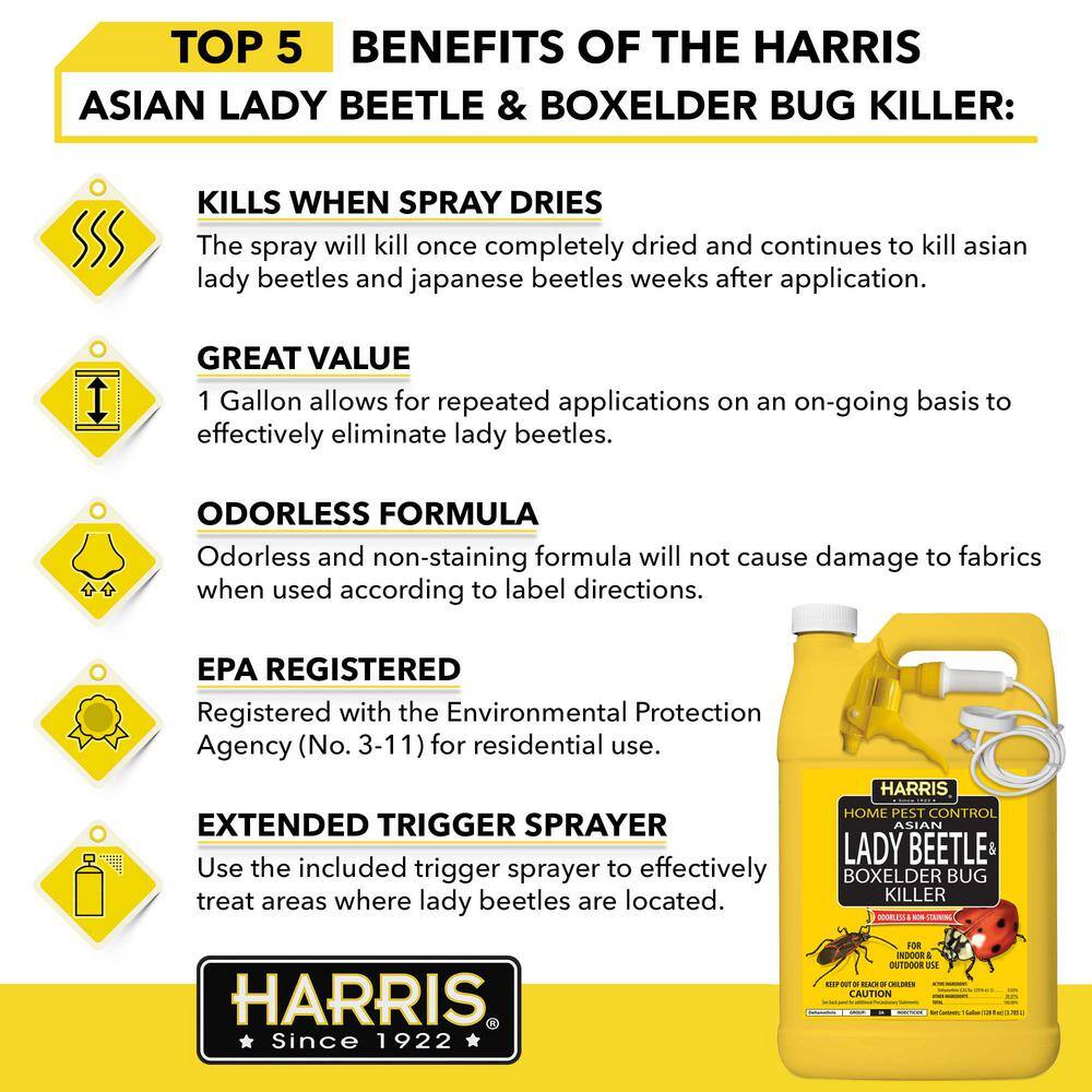 Harris 1 Gal. Asian Lady Beetle and Box-Elder Bug Killer HBXA-128