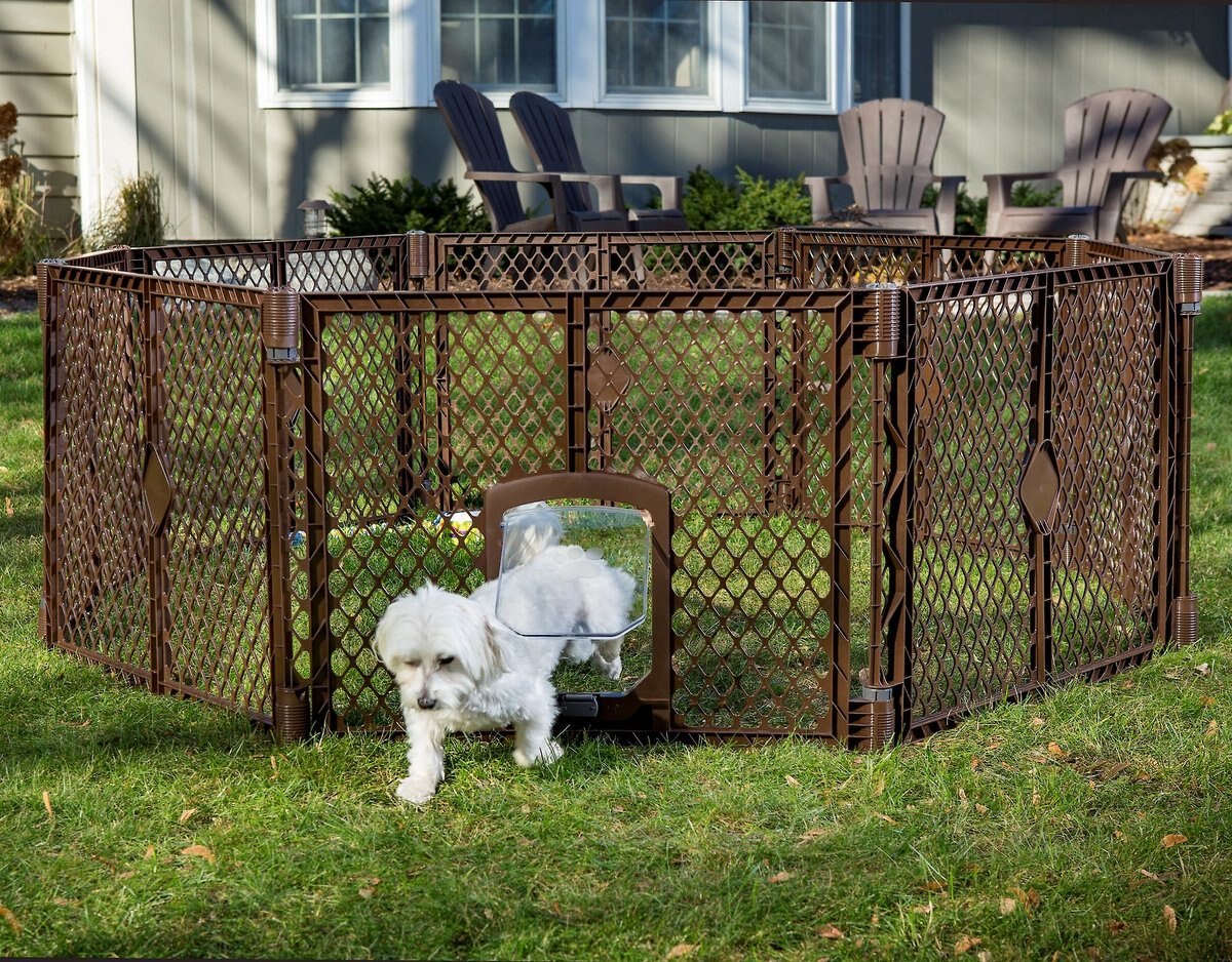 MyPet 8-Panel Petyard Passage Plastic Dog Pen