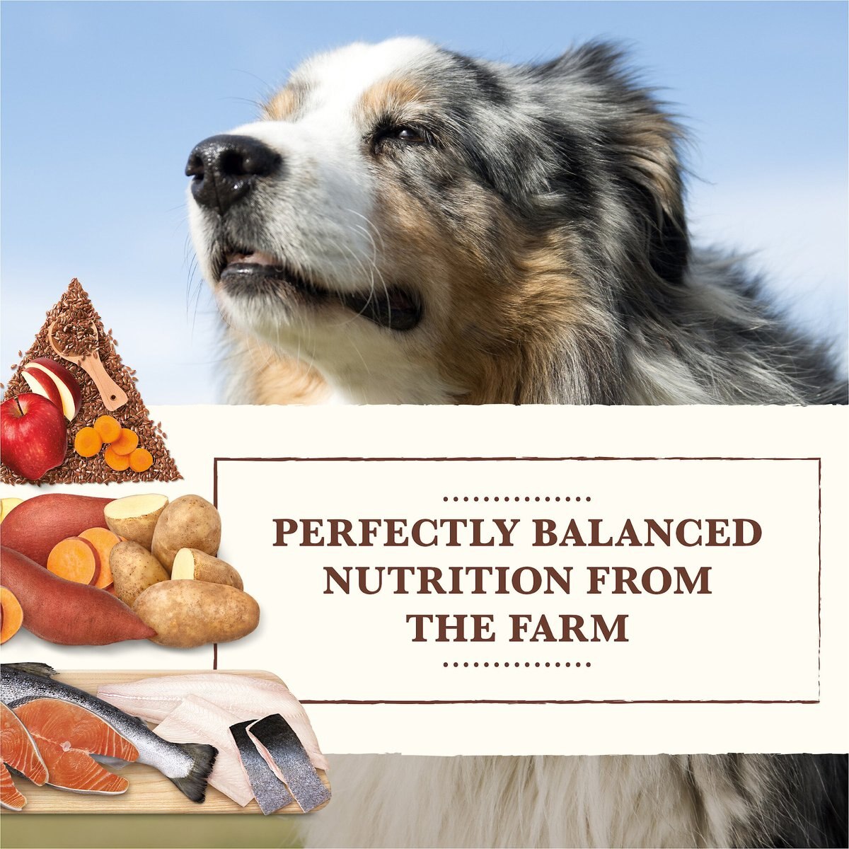 Whole Earth Farms Grain-Free Salmon and Whitefish Dry Dog Food