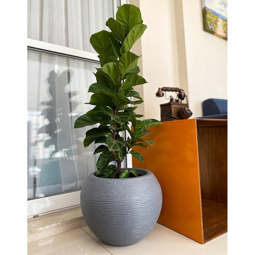 Floridis Florence Planter