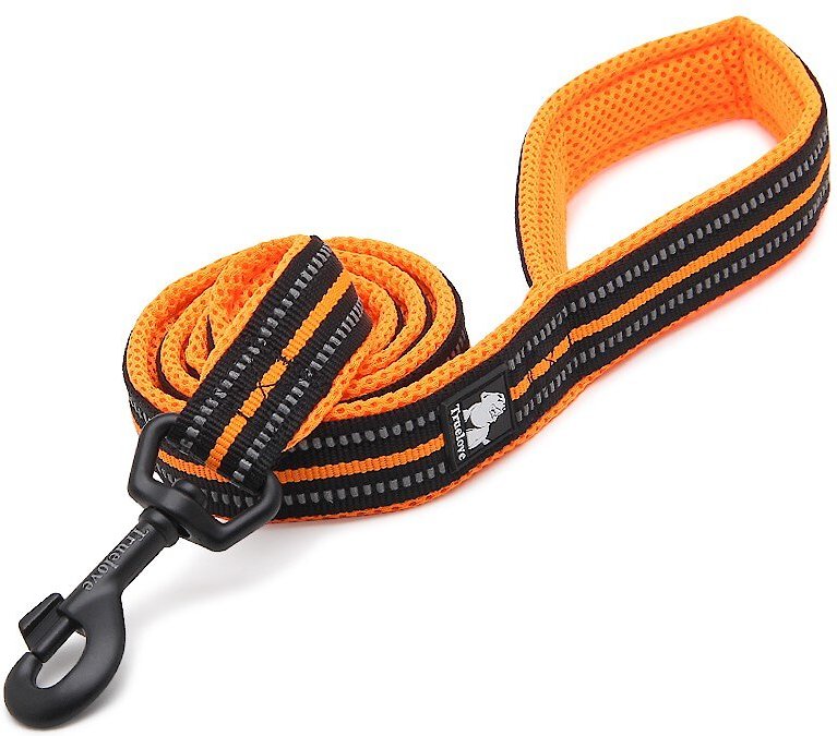 Chai's Choice Premium Outdoor Adventure Padded 3M Polyester Reflective Dog Leash