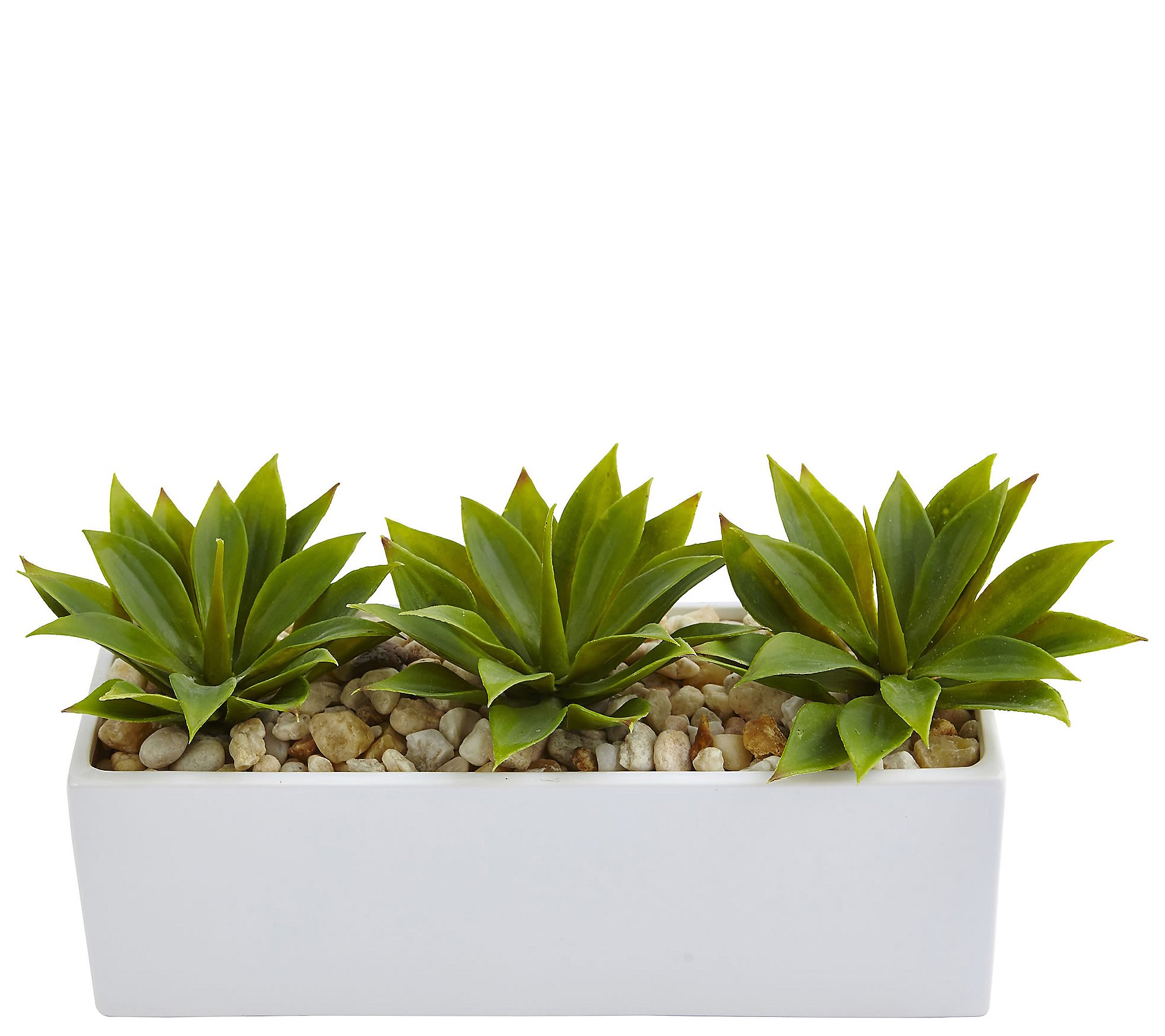 Agave Succulent in Rectangular Planter by Nearly Natural