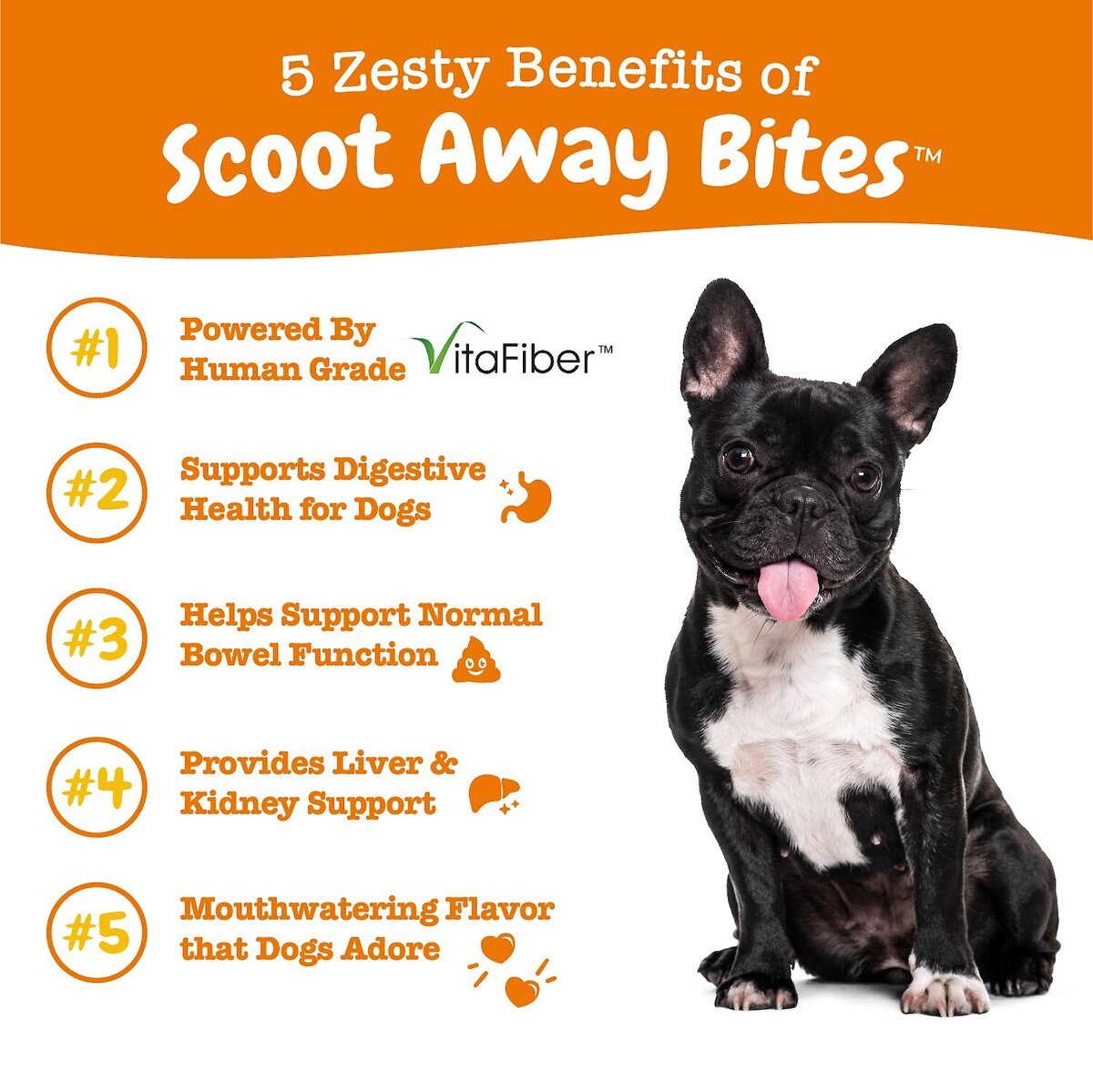 Zesty Paws Scoot Away Bites Chicken Flavored Soft Chews Digestive Supplement for Dogs