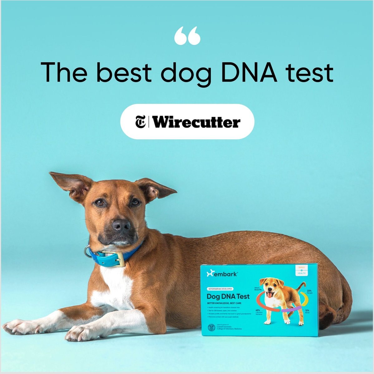 Embark Breed Identification and Health Condition Identification DNA Test for Dogs