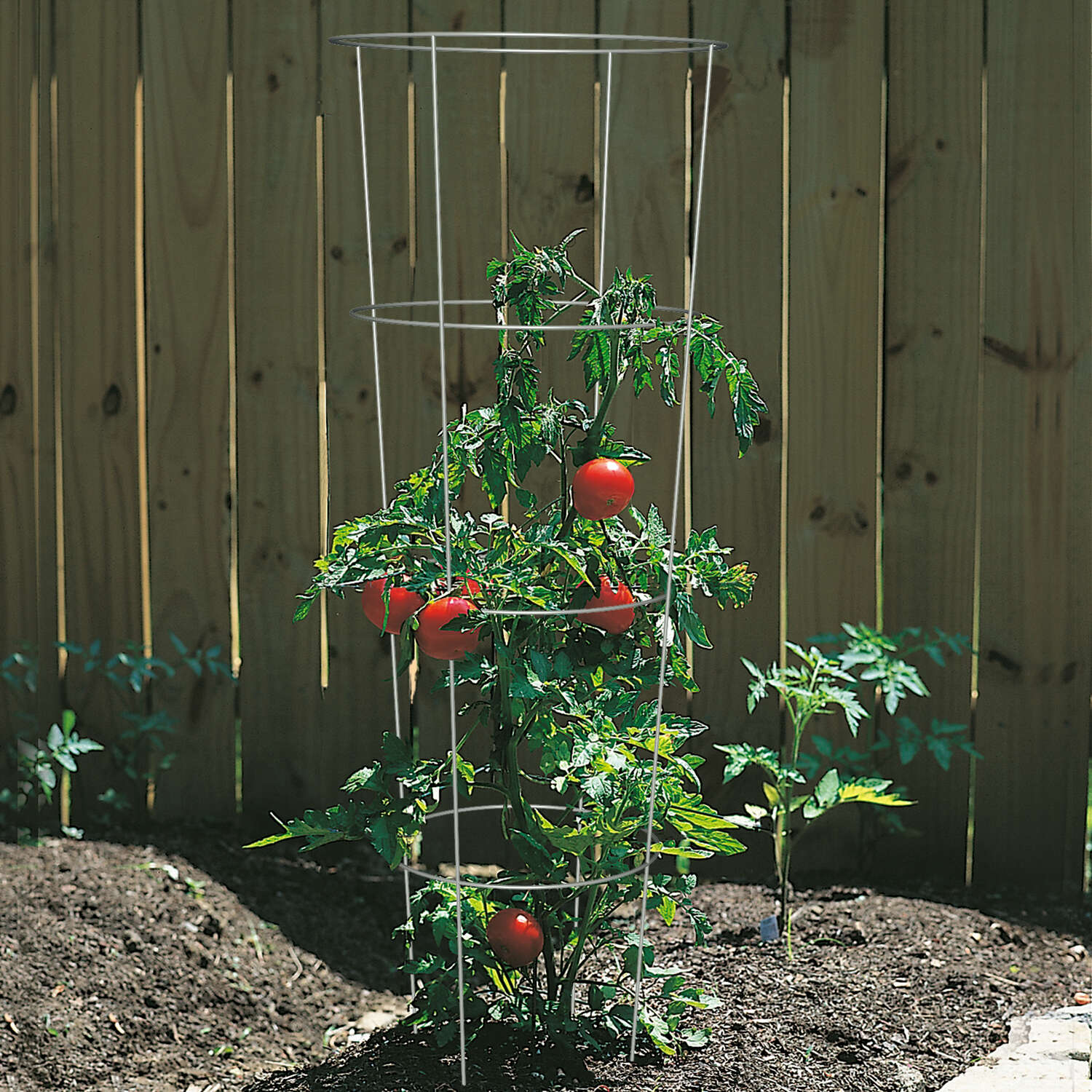 Panacea 54 in. H X 16 in. W Gray Steel Tomato Cage