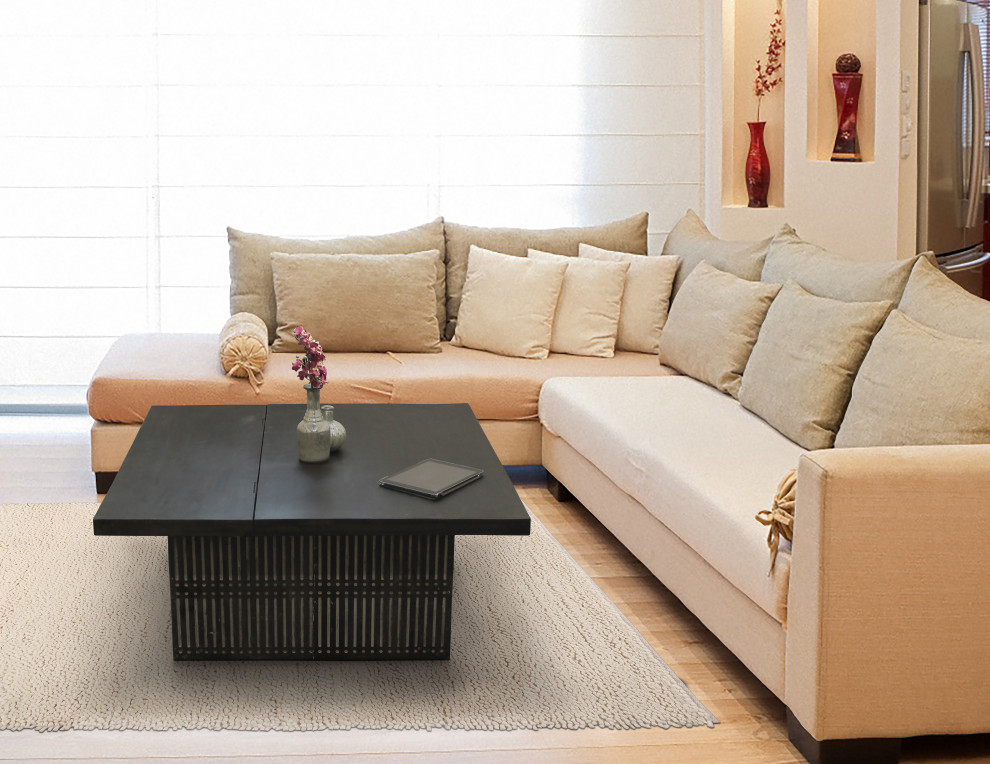 Sarah Storage Cocktail Table   Transitional   Coffee Tables   by Moti  Houzz