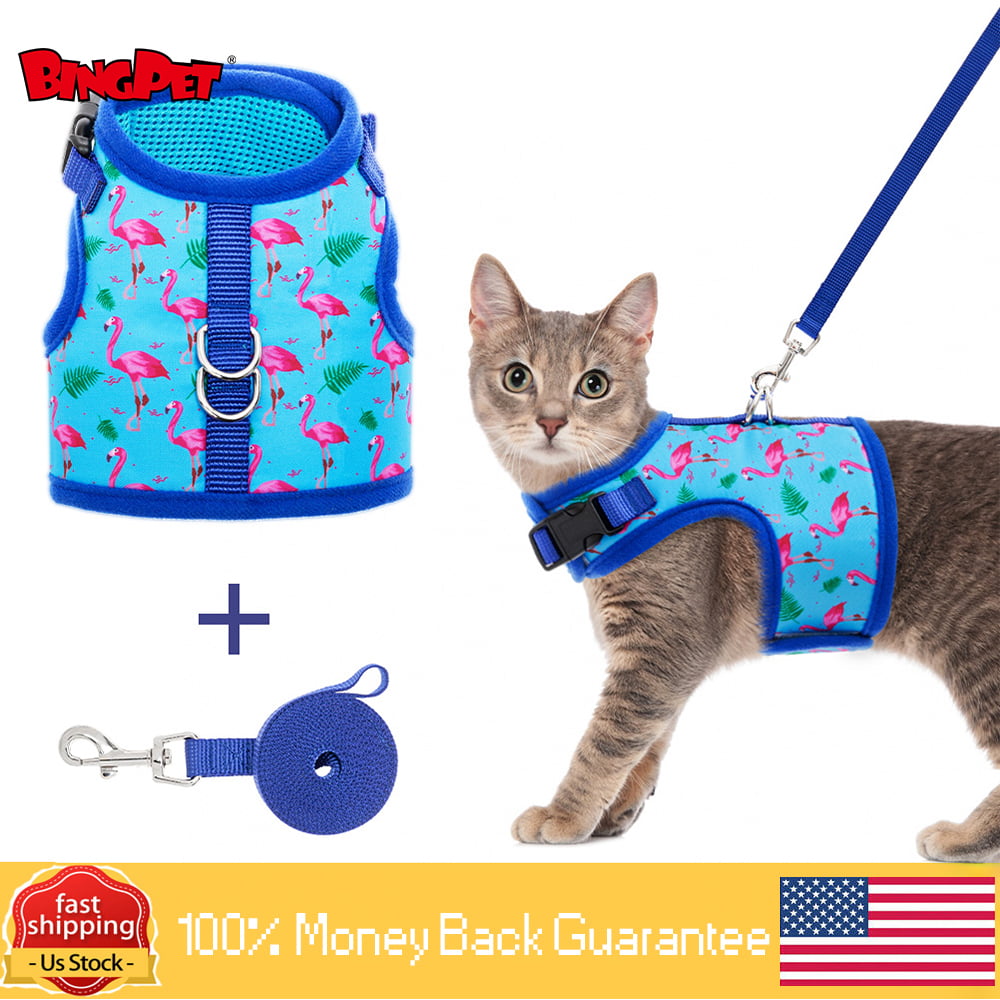 BINGPET Cat Harness and Leash - Escape Proof for Walking， Reflective and Breathable Cat Vest Harness with Safety Buckle for Small Medium Large Cats