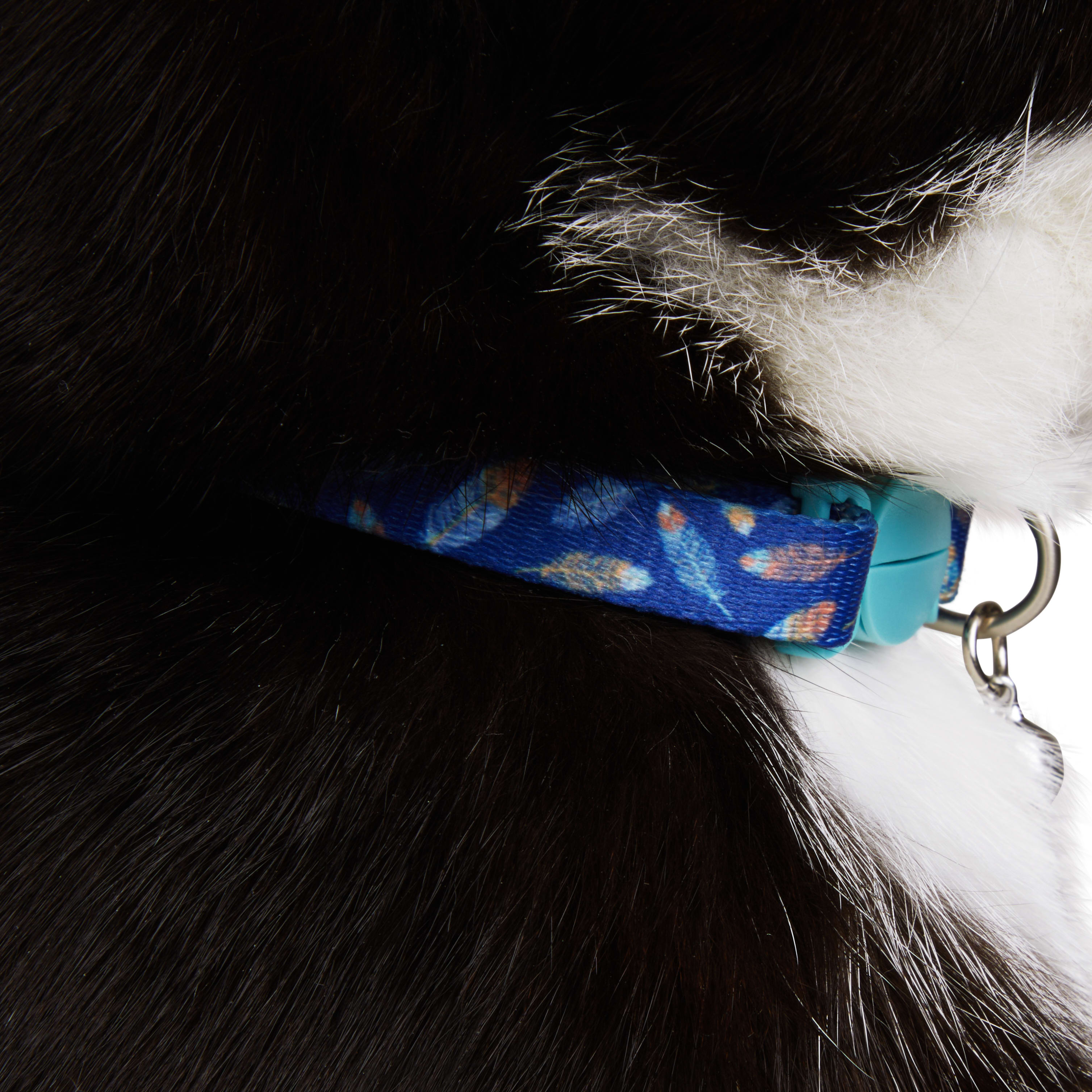 YOULY Feather Blue Cat Collar