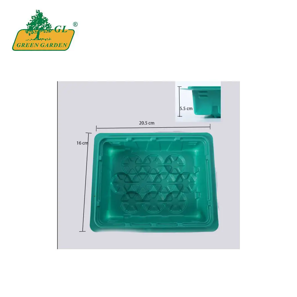 Non toxic Polystyrene Cabbages Seed Tray Good Quality Thicken Green Color Seedlingplant Tray for Growing Seedlings