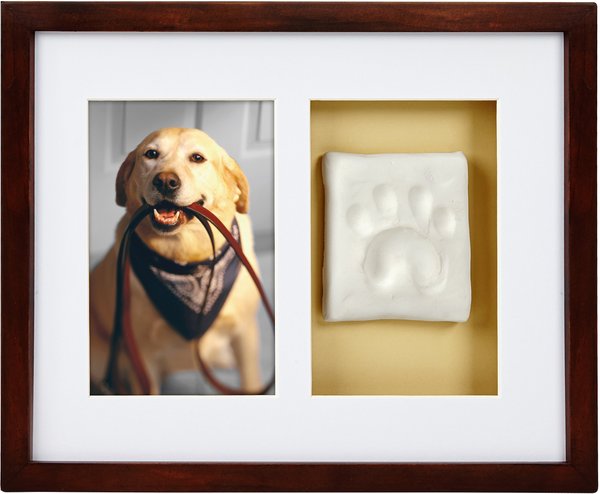 Pearhead Pawprints Dog and Cat Wall Frame and Impression Kit