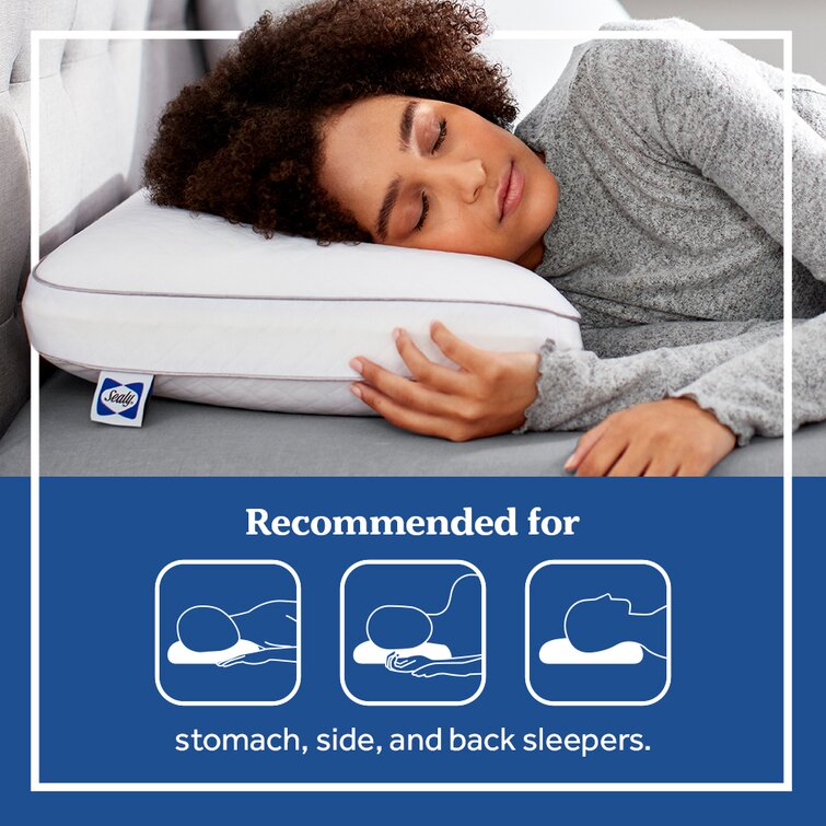 Sealy Essentials Classic Memory Foam Pillows, 2 Pack