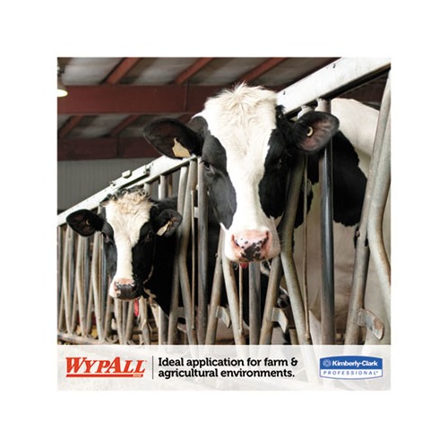 Wypall L10 SANIPREP Dairy Towels  KCC01772