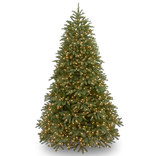 National Tree Company 6.5 ft. Jersey Fraser Fir Medium Tree with Dual Color® LED Lights