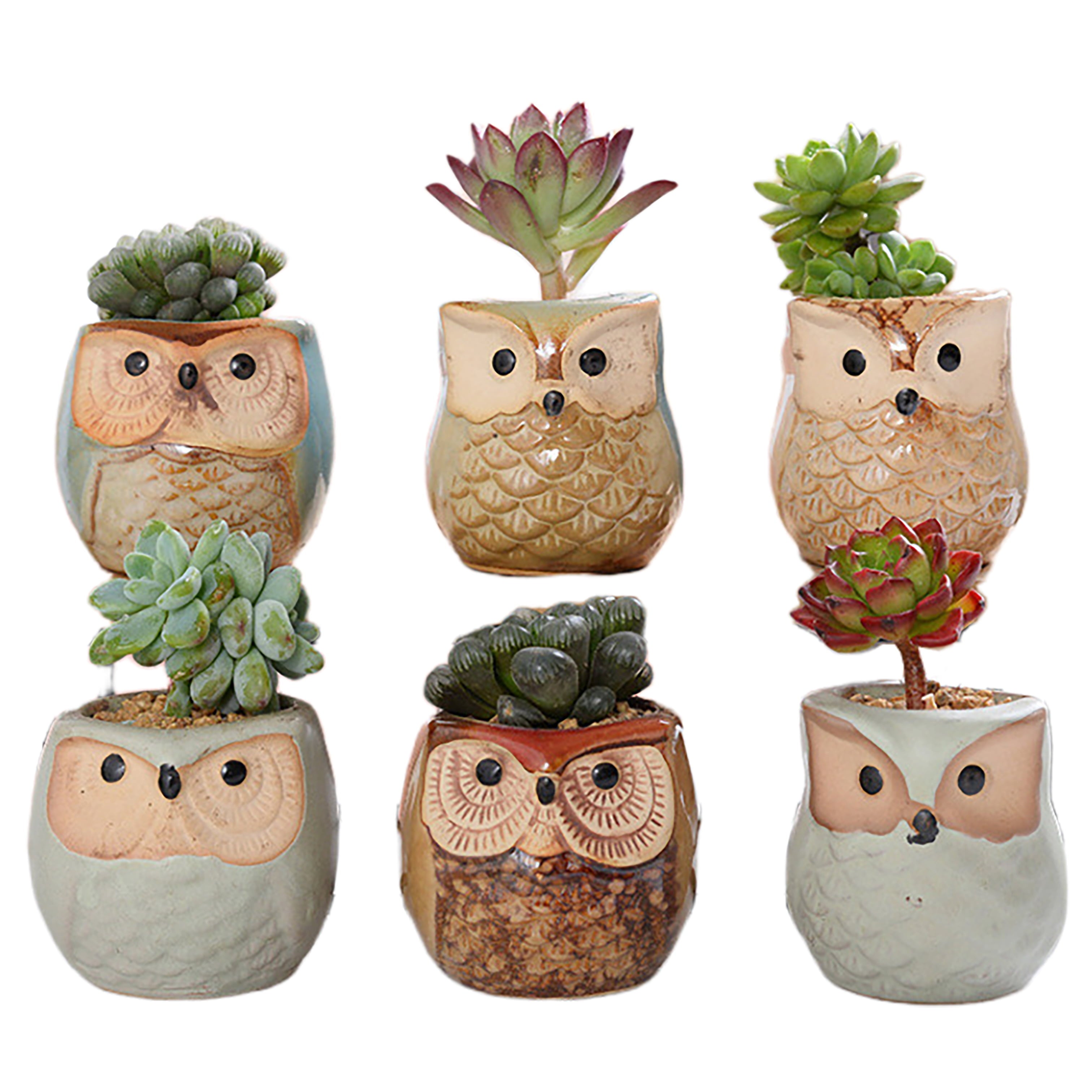 2CFUN 2.5 Inch Owl Ceramic Succulent Plants Pots Pack of 6