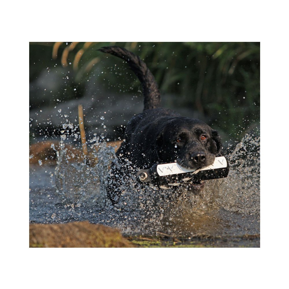 Avery Sporting Dog Hexabumper 3