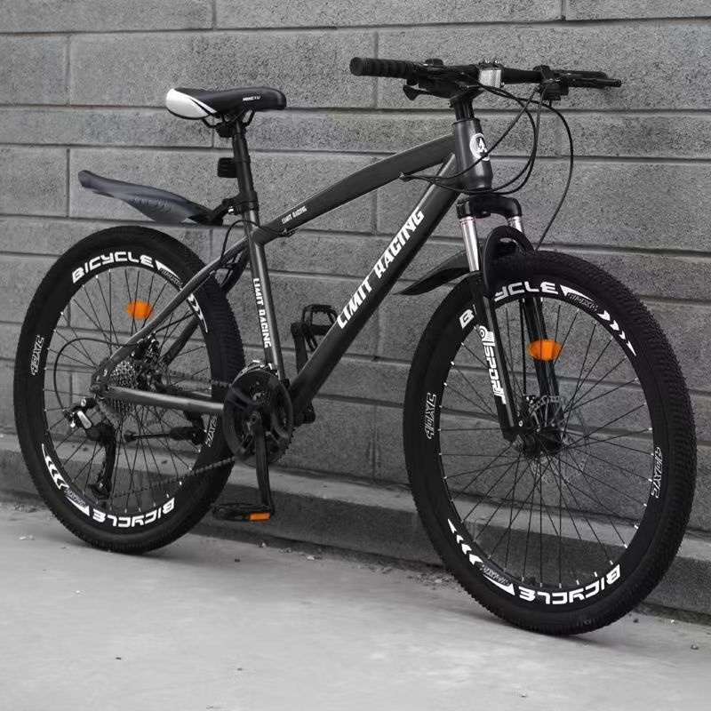 TOP sale vietnam supplier High quality Wholesale 21 speed customized cheap adult mountain bike 26/27/5/29 bicycle