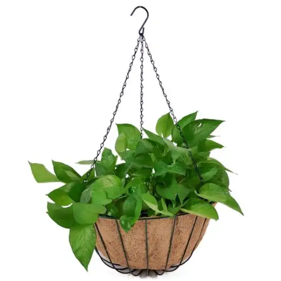 COCO ECO BRAND HIGH QUALITY NATURAL COCONUT FIBER PLANTER POT/ COCONUT SHELL FIBER POT AT THE BEST PRICE IN VIETNAM