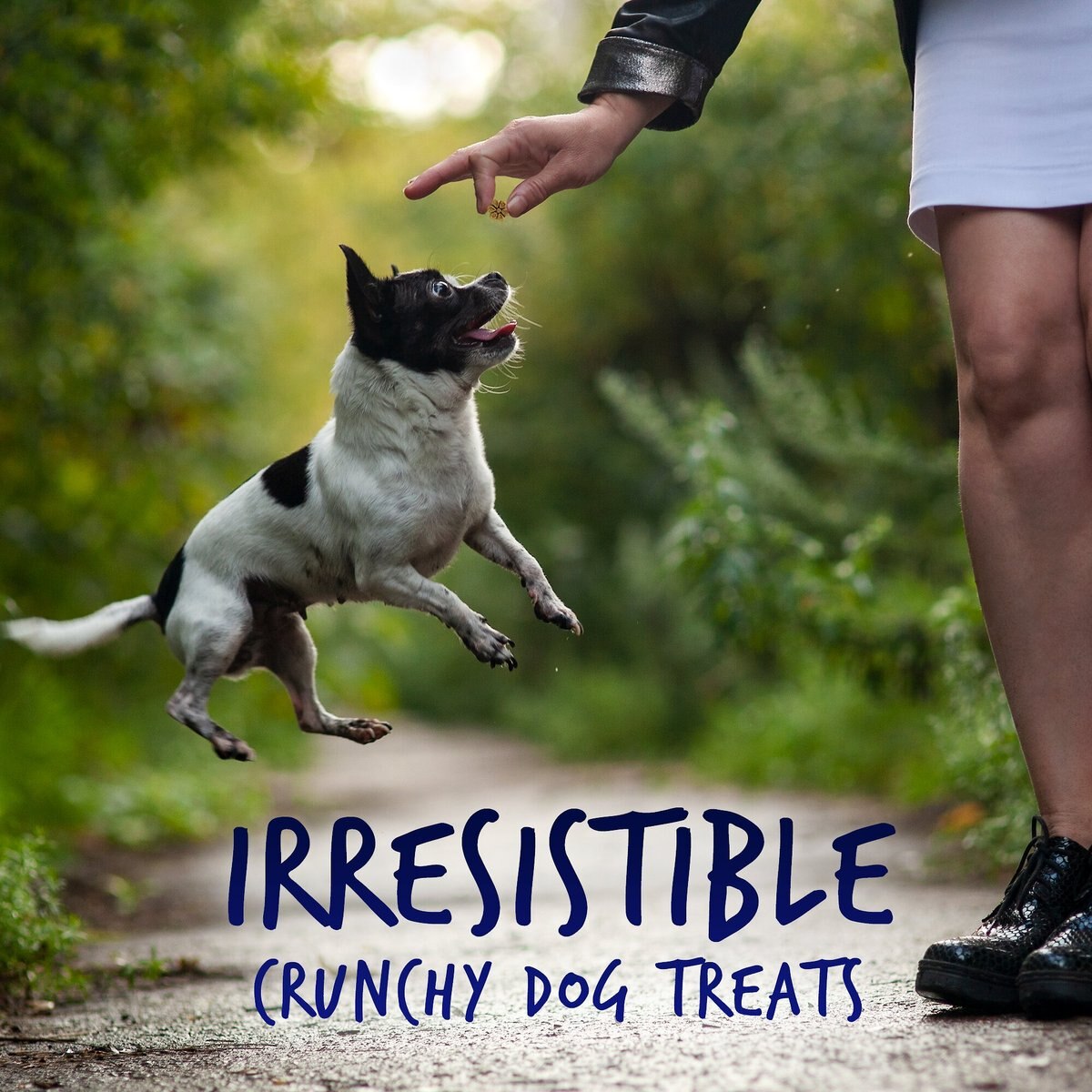 Fruitables Skinny Minis Pumpkin and Berry Flavor Soft and Chewy Dog Treats